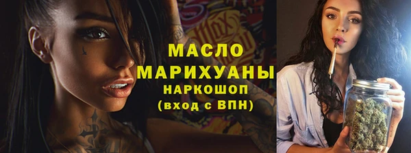 хмурый Арсеньев