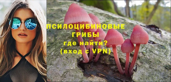 крисы Аркадак