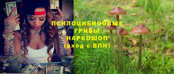 крисы Аркадак