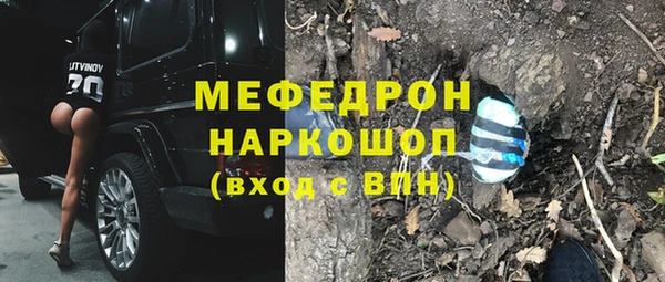 хмурый Арсеньев