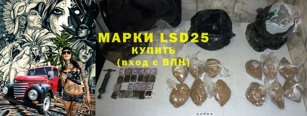 хмурый Арсеньев
