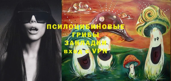 крисы Аркадак