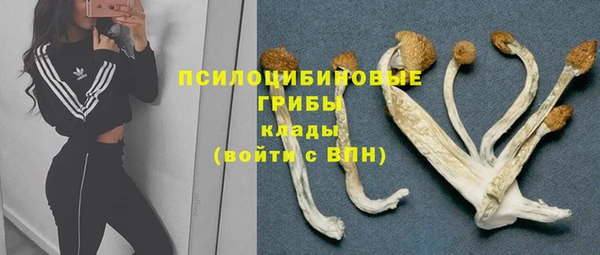хмурый Арсеньев