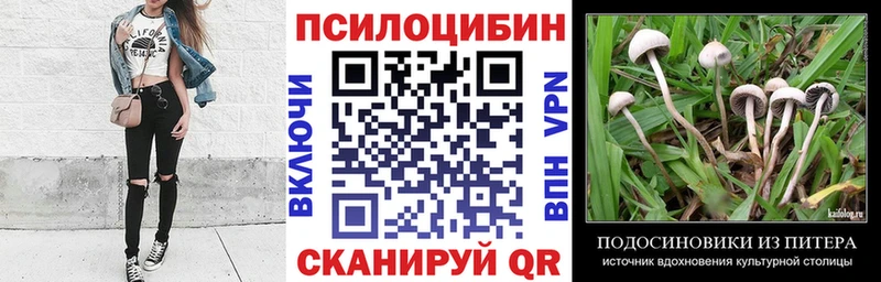 Галлюциногенные грибы прущие грибы Сретенск
